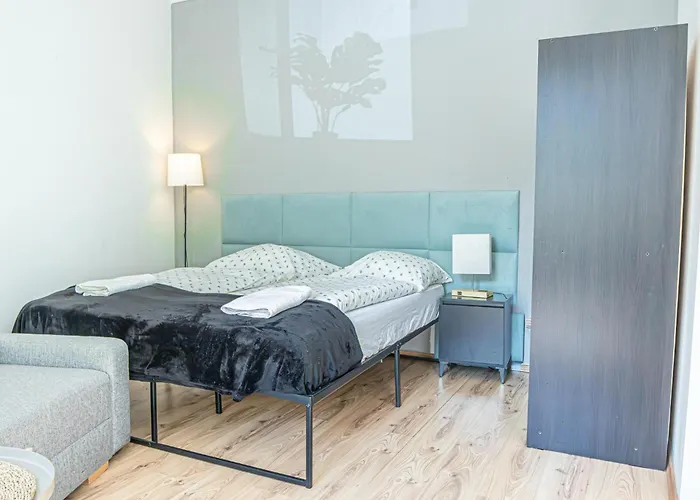 Discover Danube And Prater Stern From Our 1br Gem *
